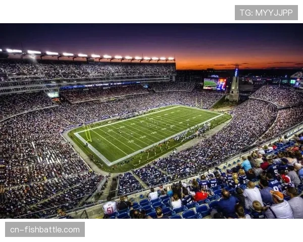 专业足球场建设报告显示,2026年将有更多球场配备先进战术分析系统。 专业足球场建设报告显示,2026年将有更多球场配备先进战术分析系统。