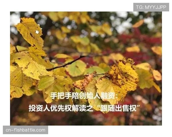 体育科技投资增加，定位球分析软件获千万级融资